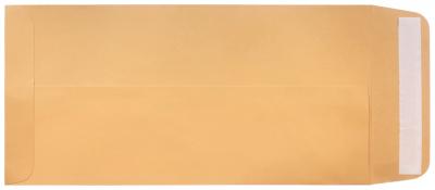 License Plate Mailing Envelopes