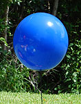 BALLOON GIZMO" BLUE 17" BALLOON