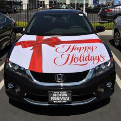 HOODIES - HOLIDAY HOOD DECORATION