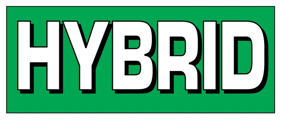 Windshield Banners